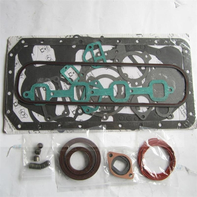 JAC Auto Fitment Dieselmotor Repair Kit voor Quanchai N485 Motor 112100-422116-21