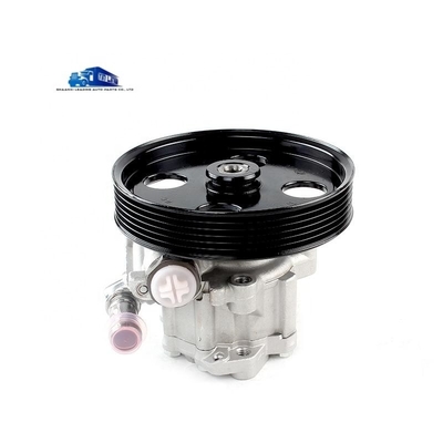 Yunnei D19 Motor Steering Booster Pump X197091 Steering Oil Pump voor vervanging/reparatie